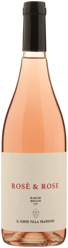 Il Conte Rosè & Rose Marche Rosato IGP 2024