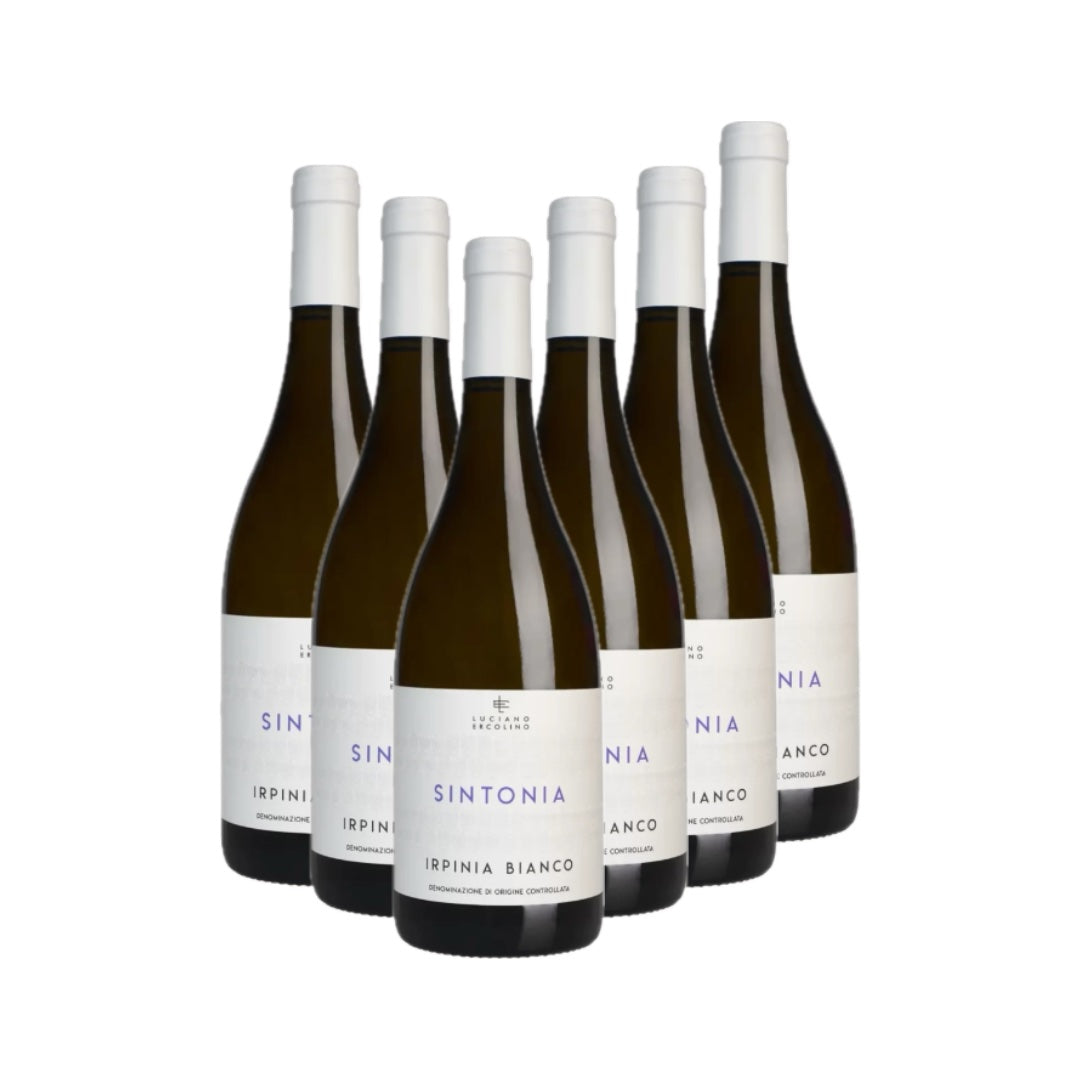 Sintonia Bianco Irpinia DOC 2024 - Vinosia