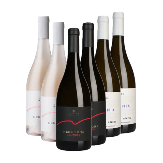 Vinosia - Luciano Ercolino Probierpaket Kampanien