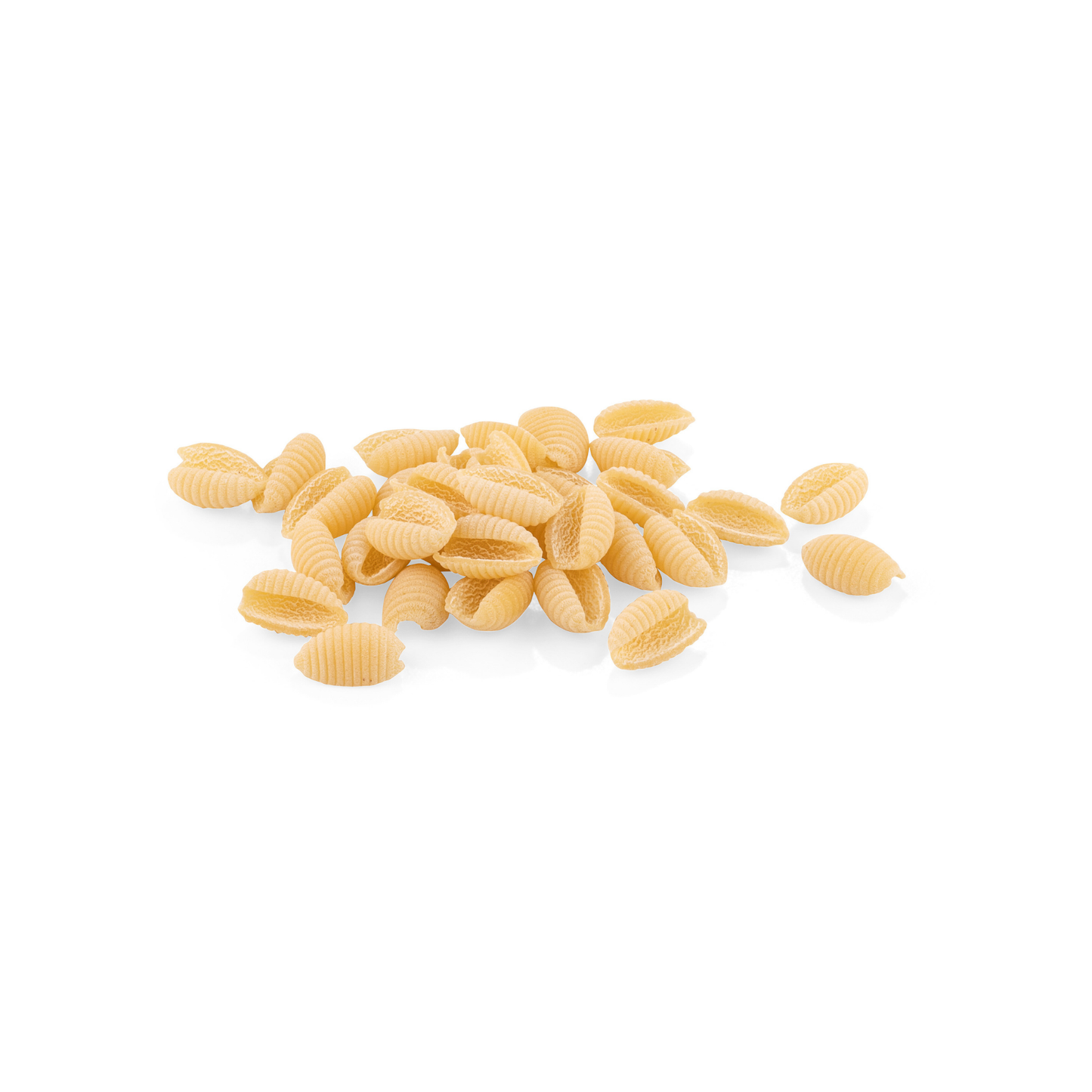 Gnocchetti rigati IGP 500 g – Nudelform