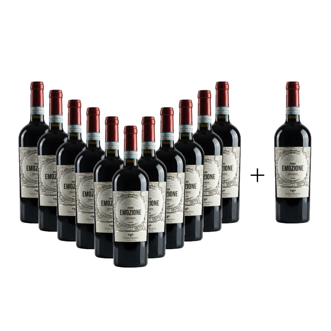 Grande Emozione Rosso IGT Marche Premium Principi Sani 2024