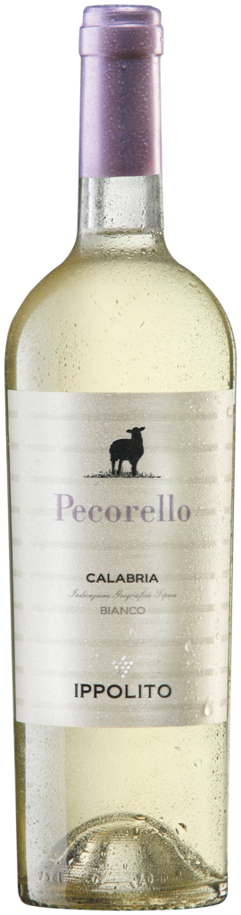 Ippolito Pecorello Calabria Bianco IGT 2025