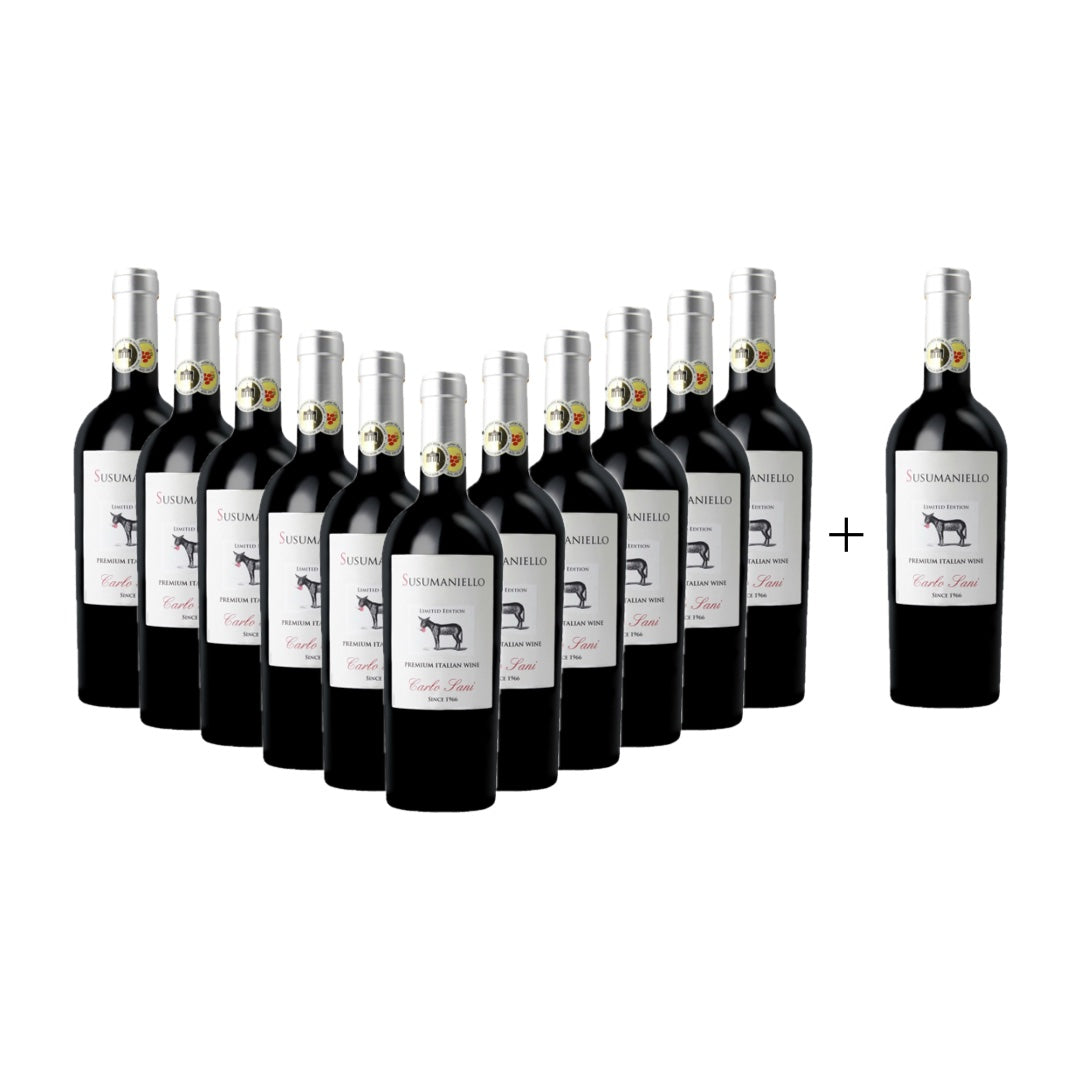 Susumaniello Salento IGT Carlo Sani 2024