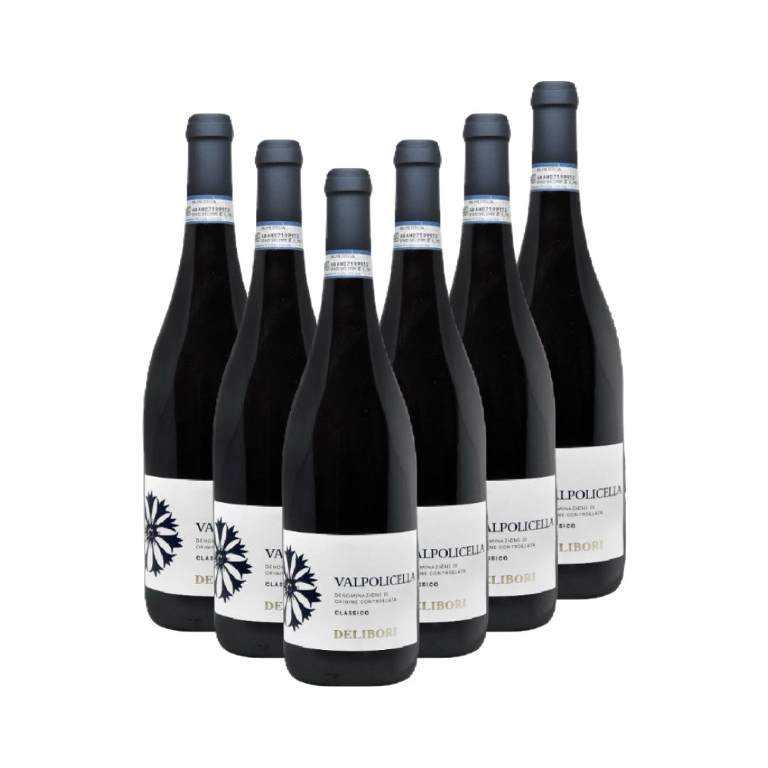 Delibori Valpolicella Classico – eleganter Rotwein aus Venetien