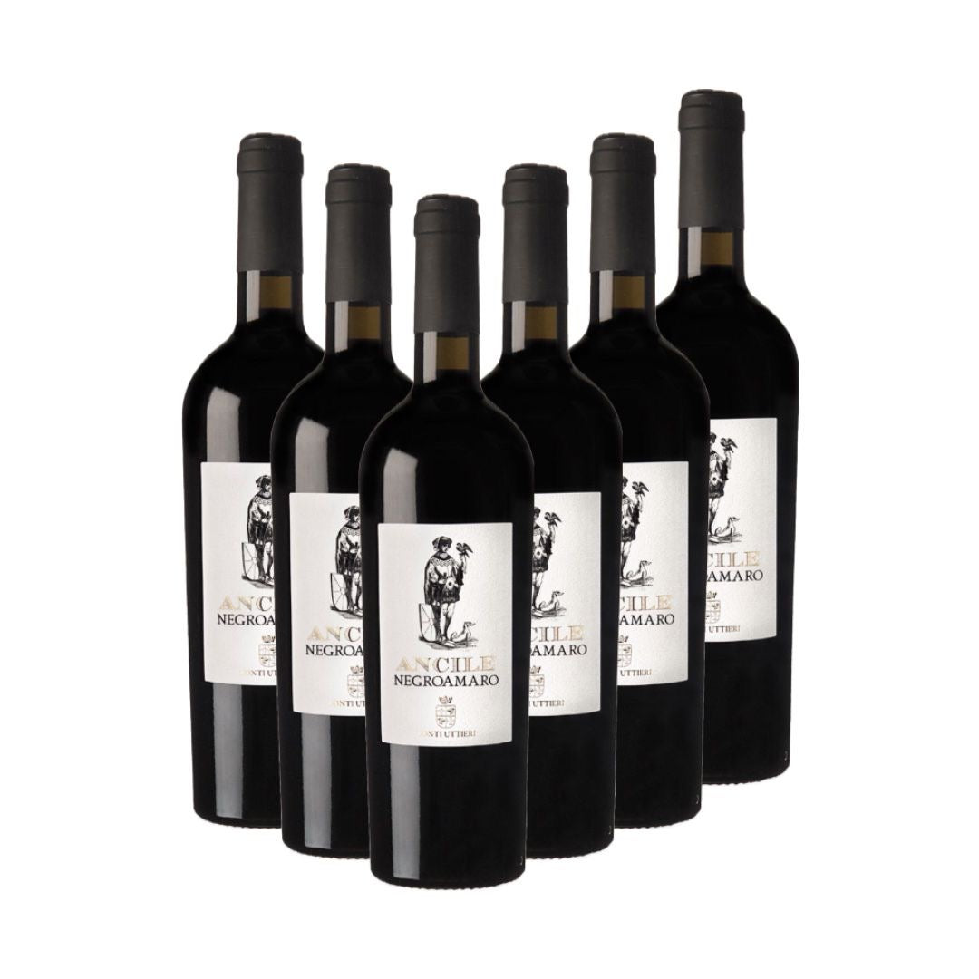 Ancile Salento Negroamaro IGT – charaktervoller Rotwein aus Apulien