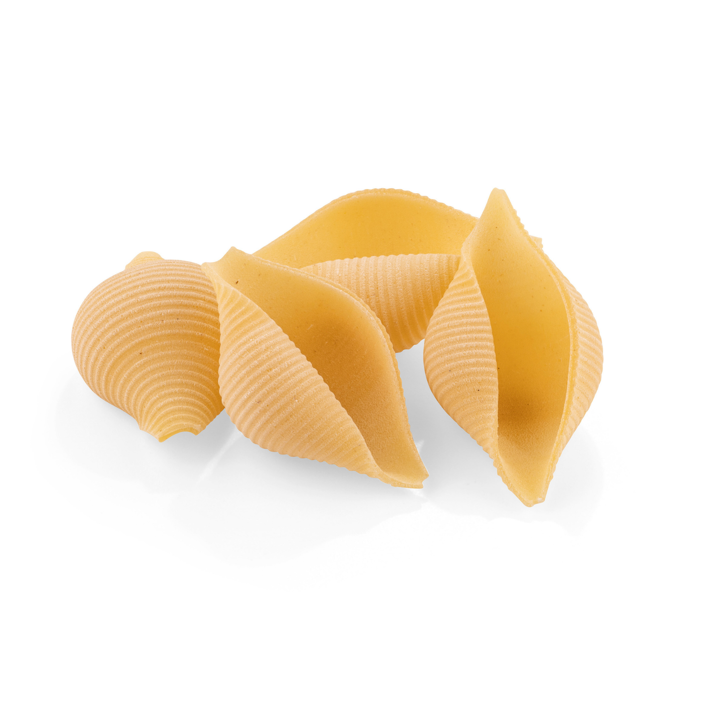 Conchiglioni IGP 500 g – Nudelform