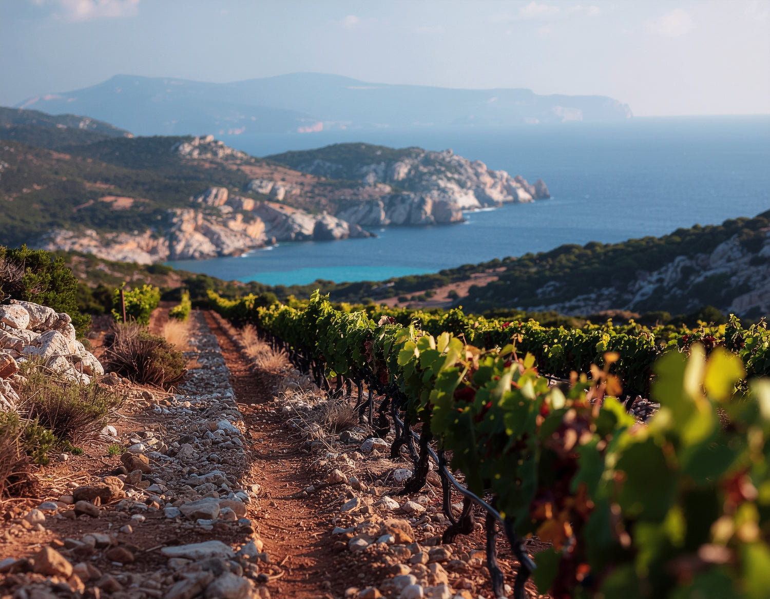 Besonderheiten der Weinregion Sardinien