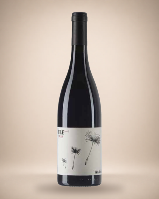 Federici Ùle Shiraz Lazio IGT Freisteller