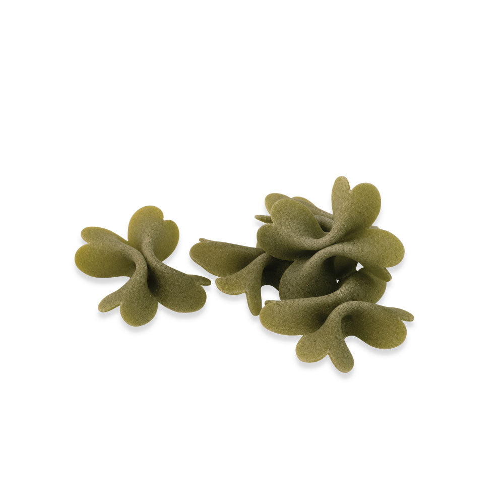 Quadrifoglio verde 500 g – Nudelform