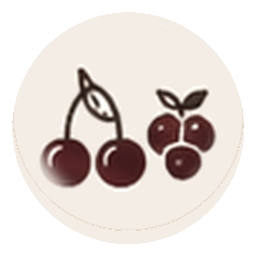 Kirsche und Beeren
