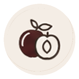 Steinobst