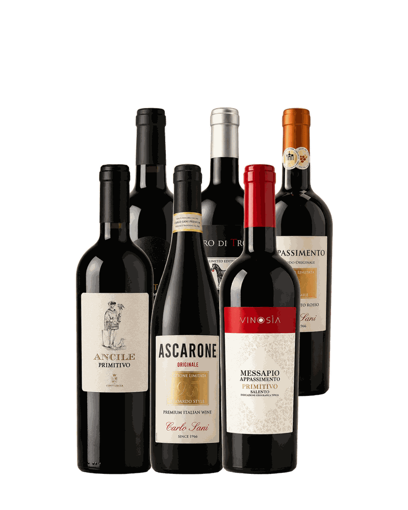 Probierpaket Apulien-Entdecker: 6 Flaschen Rotwein vor beigem Studiohintergrund